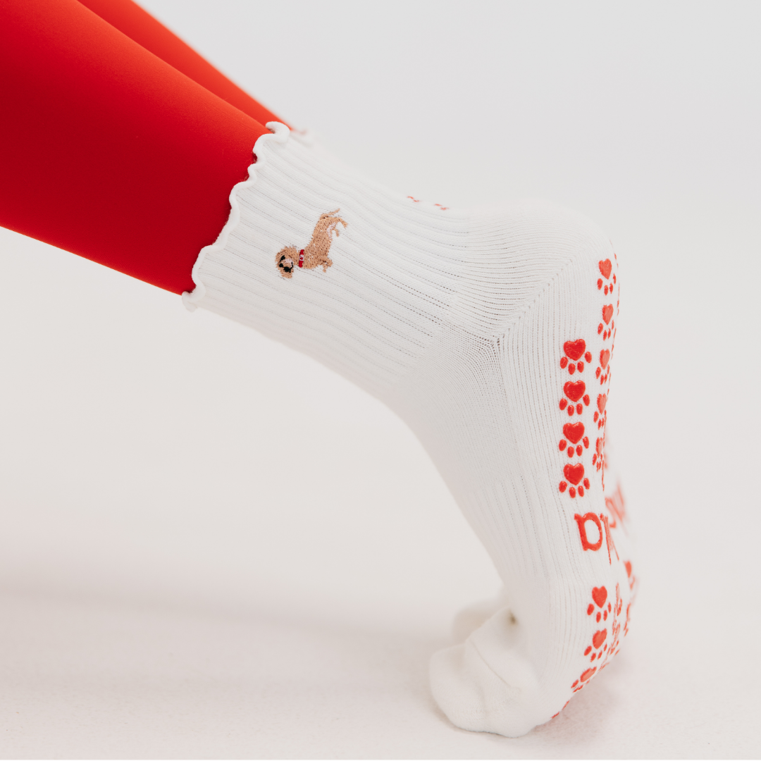🐶 Doxie Grip Sock