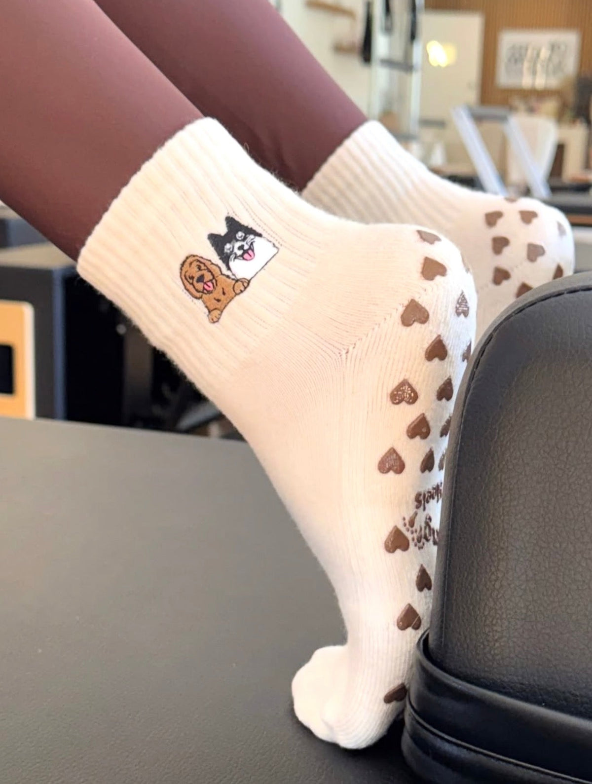 Pawlates dog grip socks showing chocolate-brown heart-shaped silicone grips