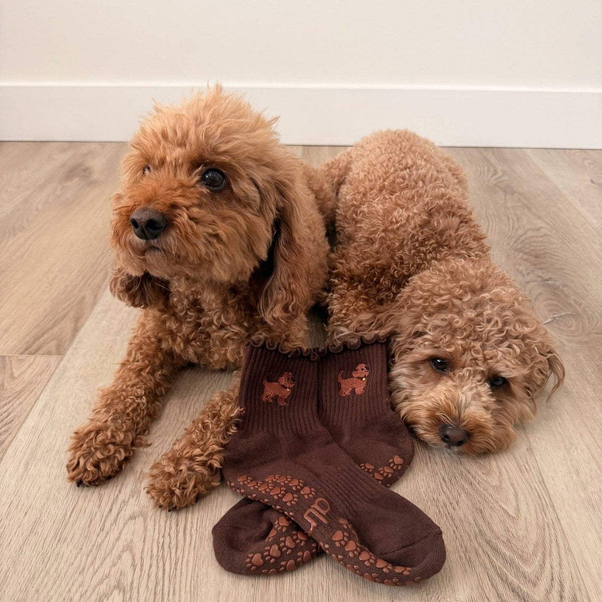 The Doodle Grip Sock