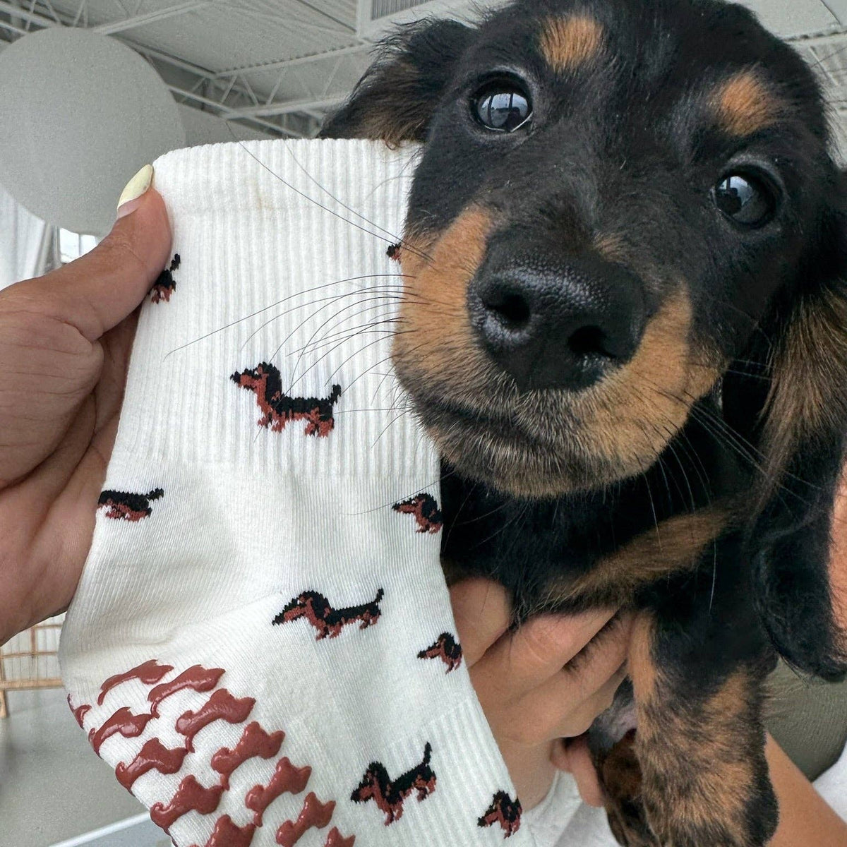 The Dachshund Grip Sock